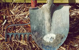 Фото: Шпаргалка садоводу: как подготовиться к осени