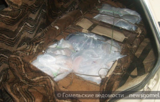 Фото: Более 30 кг мяса пытался завезти в Беларусь житель Гомельской области