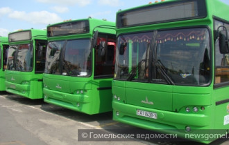 Фото: В Гомеле организован общественный транспорт «Родительский маршрут» по доставке детей в дошкольные учреждения