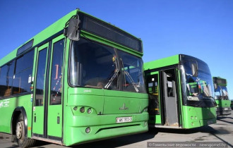 Фото: На гомельском автобусном маршруте №33 отменяются некоторые рейсы