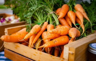 Фото: уДАЧНЫЕ СОТКИ: советы, как спасти морковь от мух