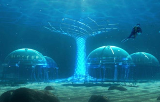 Фото: В Италии готовятся собрать урожай с первого в мире подводного огорода 