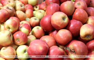 Фото: В Беларуси вводятся предельные максимальные отпускные и розничные цены на овощи и яблоки