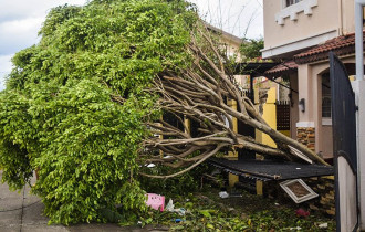 Фото: Более 50 человек стали жертвами обрушившегося на Японию тайфуна