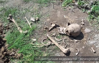 Фото: В Костюковке в зарослях кустарника обнаружены человеческие останки