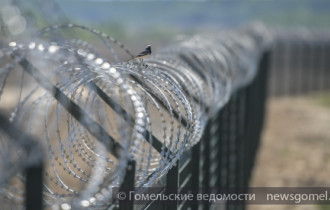 Фото: Гомельские пограничники задержали беглого заключённого 