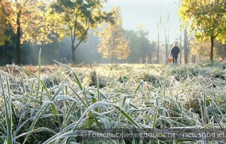 Фото: На текущей неделе в Беларуси ожидаются первые заморозки