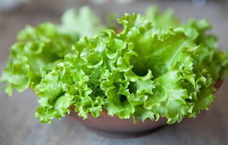 Фото: И вкус, и цвет: как выбрать сорт салата для выращивания?