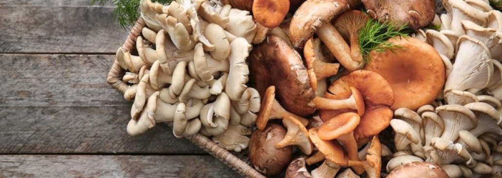 Как правильно собирать и готовить грибы, чтобы не отравиться