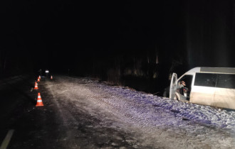 Фото: В Житковичском районе лось спровоцировал ДТП, погибла пассажирка микроавтобуса