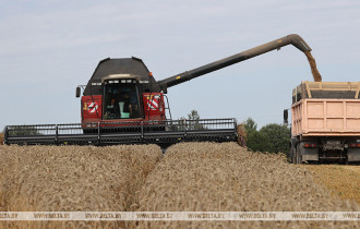 Фото: В Беларуси намолотили 5,7 млн тонн зерна