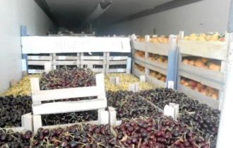 Фото: Попытка не прошла: около тонны ягод пытались провезти через границу без документов
