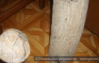 Фото: Бивни мамонта пытались провезти через Беларусь