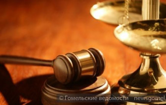 Фото: В Гомельском районном суде вынесен приговор педофилу
