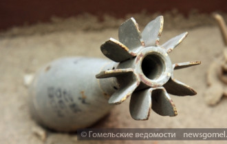 Фото: В Гомеле в реке Сож водолазы нашли авиационную бомбу