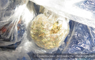 Фото: Гомельскими таможенниками в рейсовом автобусе  обнаружена марихуана