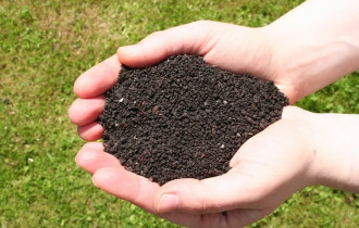 Фото: Советы дачникам: немного про сухой полив почвы