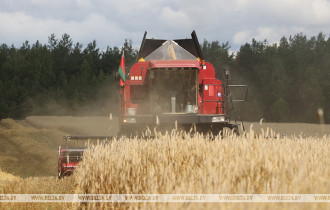Фото: Лукашенко: мы впервые произвели зерна больше тонны на человека и обязаны удержаться на этом уровне
