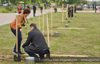 Фото: На Аллее Памяти Гомельского дворцово-паркового ансамбля посадили деревья