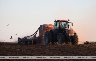 Фото: Сев озимых зерновых в Беларуси проведен на 20% площадей