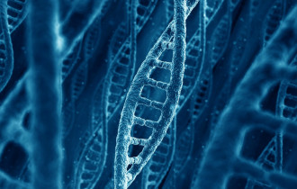 Фото: Человечество сможет чинить "поломанные" гены, заявила эксперт