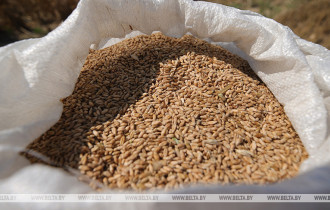 Фото: Совмин продлил запрет на вывоз некоторых видов зерновых