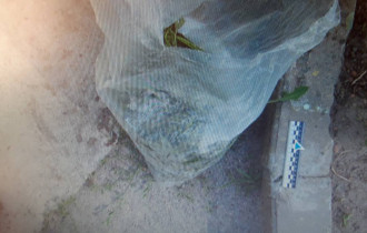 Фото: Гомельчанин задержан при попытке избавиться от пакета с марихуаной
