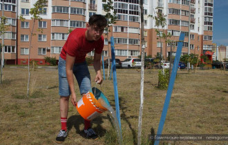 Фото: Внесём вклад в озеленение города вместе: нужно просто полить саженцы в своем дворе
