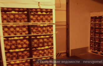 Фото: Недостоверное декларирование апельсинов выявили гомельские таможенники в РПТО «Новая Рудня»