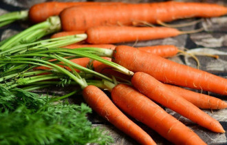 Фото: уДАЧНЫЕ СОТКИ: средства, которые помогут вырастить вкусную и здоровую морковь