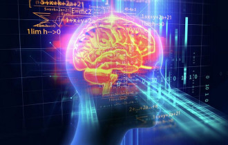 Фото: Ученые подтвердили связь между уровнем интеллекта и активностью мозга