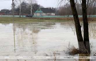 Фото: Талые воды подтопили дачные участки в Гомельской области
