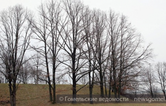 Фото: Не по сезону теплая погода ожидается в Беларуси на текущей неделе