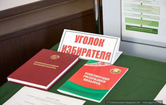 Фото: Председатель Гомельской городской избирательной комиссии подвёл первые итоги единого дня голосования
