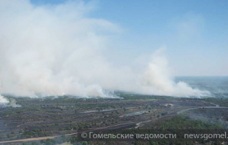 Фото: В Гомельской области продолжают ликвидировать лесные пожары