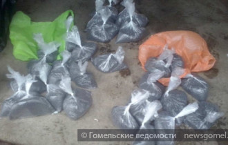 Фото: Светлогорские и Гомельские оперативники в Минске задержали крупного торговца опийным маком