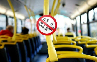 Фото: С 1 сентября автобусы на некоторых городских маршрутах начнут курсировать без кондуктора