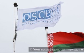 Фото: Летняя сессия ПА ОБСЕ в Минске