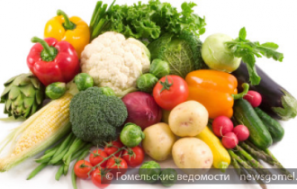 Фото: Об особенностях питания белорусов