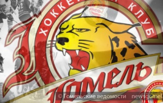 Фото: ХК "Гомель" вышел в полуфинал чемпионата Беларуси по хоккею