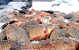 Фото: В Гомельской области мужчина незаконно наловил рыбы почти на Br6 тыс.