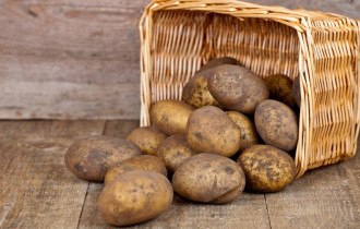 Фото: Влаги достаточно: агросиноптики рекомендуют садить картошку