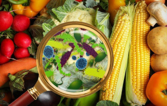 Фото: Отравления в Гомельской области чаще всего из-за овощей и фруктов