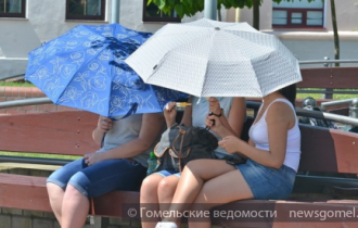Фото: Жаркая и сухая погода установится в Беларуси в первую неделю августа
