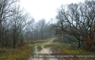Фото: Неустойчивая погода ожидается в ближайшие дни в Беларуси