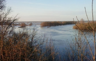 Фото: Паводковая ситуация: уровень воды в реке Сож начал снижаться