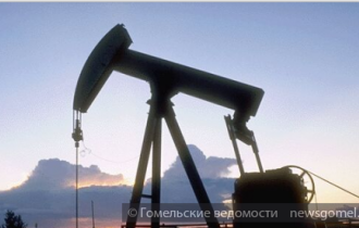 Фото: Новая залежь нефти открыта в Гомельской области