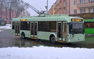 Фото: Что стало причиной остановки троллейбусов в Гомеле?