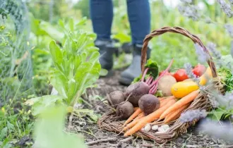 Фото: Долгожители: 10 овощей, которые можно хранить месяцами