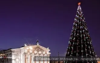 Фото: Завтра в Гомеле зажгут главную ёлку города 